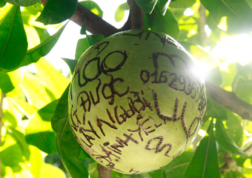 Có[-]cô[-]gái[-]xin[-]cho[-]lấy[-]được[-]người[-]mình[-]yêu[-]và[-]không[-]quên[-]đề[-]luôn[-]số[-]điện[-]thoại.